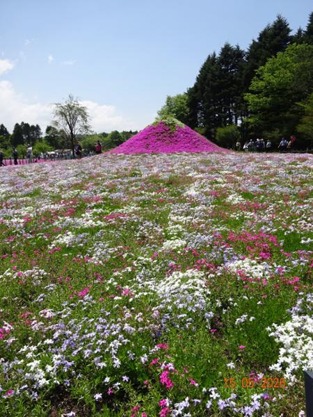 Jewels of Japan
