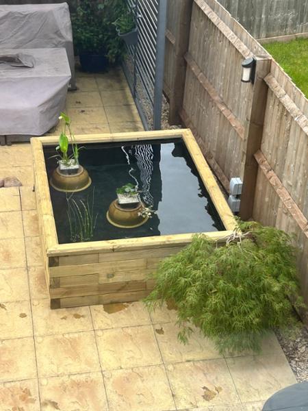Raised pond