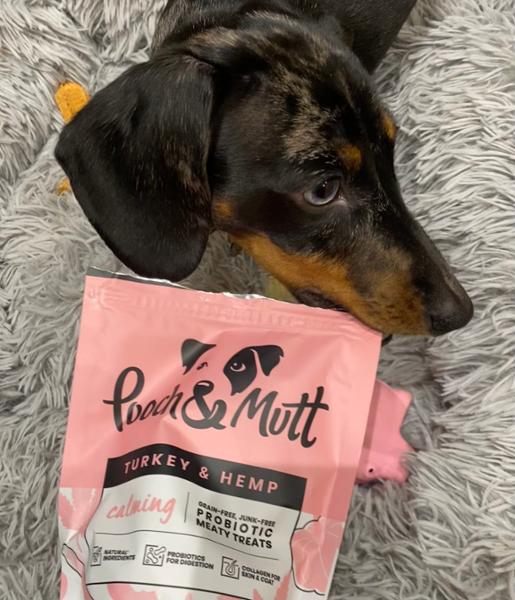 Sensitive Stomach Dry Dog Food | 2kg | Pooch & Mutt Health & Digestion Dry Dog Food | Prebiotic Dog Food For Digestive Issues | Grain-Free