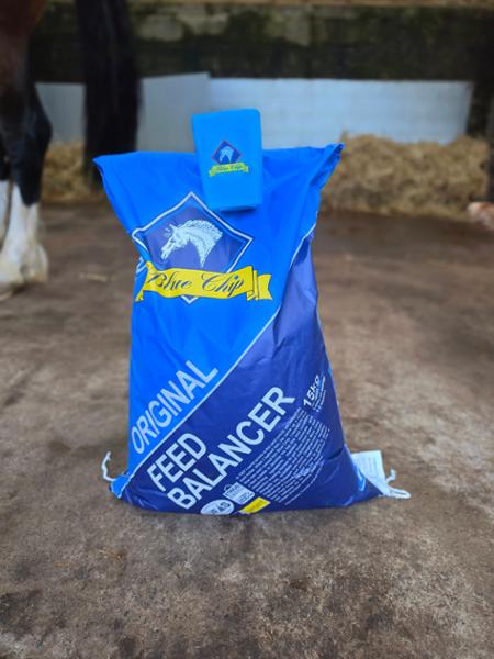 Bluechip origonal
