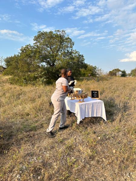 The Most Incredible African Beach/Safari Honeymoon