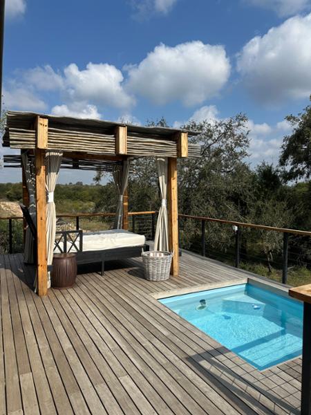 The Most Incredible African Beach/Safari Honeymoon