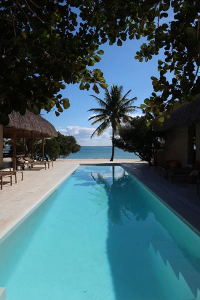 The Most Incredible African Beach/Safari Honeymoon