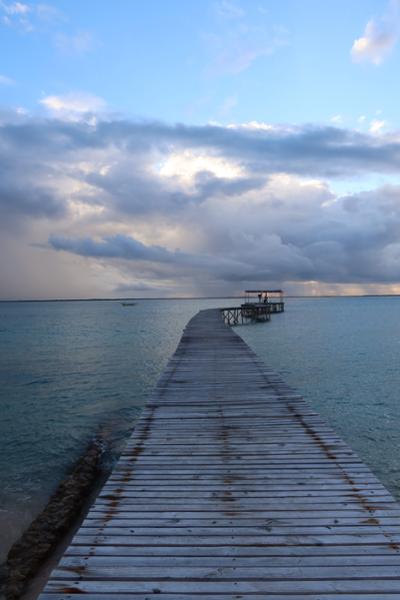 The Most Incredible African Beach/Safari Honeymoon
