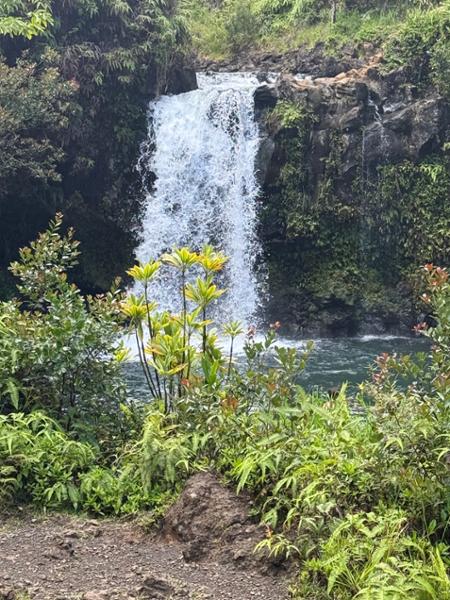 Grand Hawaiian Adventure on 05/21/2026