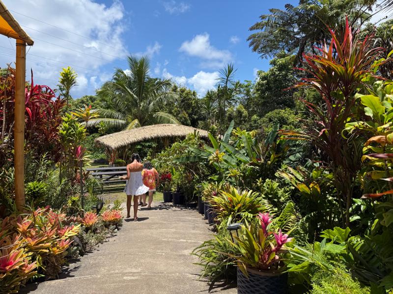 Grand Hawaiian Adventure on 05/21/2026