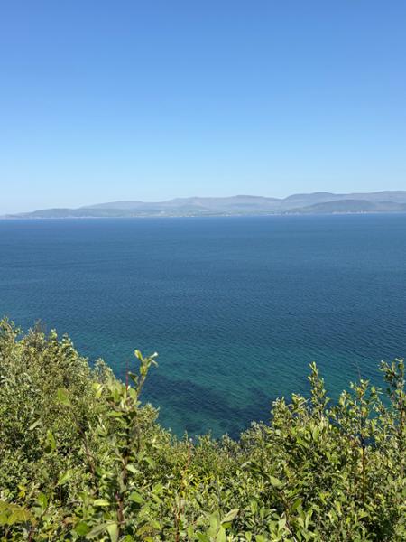 Shades of Ireland on 05/25/2026