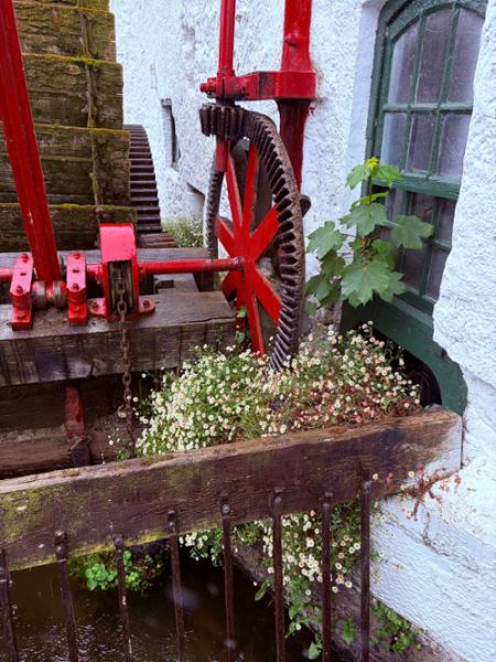 Shades of Ireland on 05/25/2026