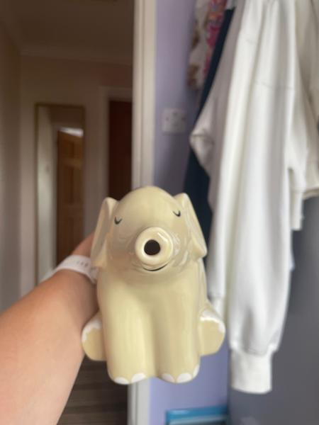 Sass & Belle Elephant Watering Can
