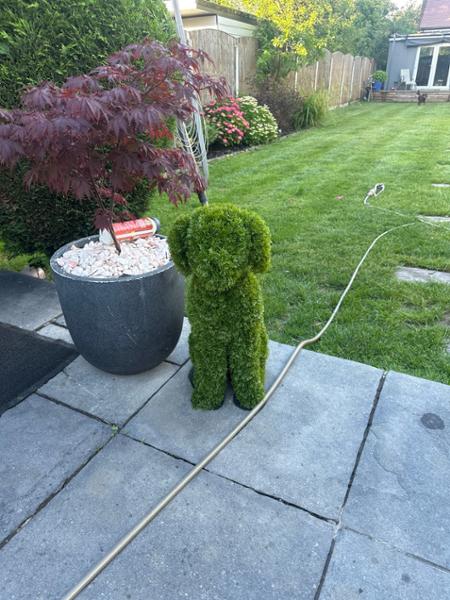 Topiary Dog Artificial Cedar Leaf 60cm | Garden Patio Outdoor Decor | Events Birthdays Wedding Celebrations | UV Protected & Weather Resistant