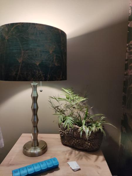 Deep Emerald Forest Green Lamp Shade with Botanical Gold Foil Print