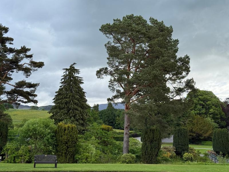 Best of Ireland and Scotland 