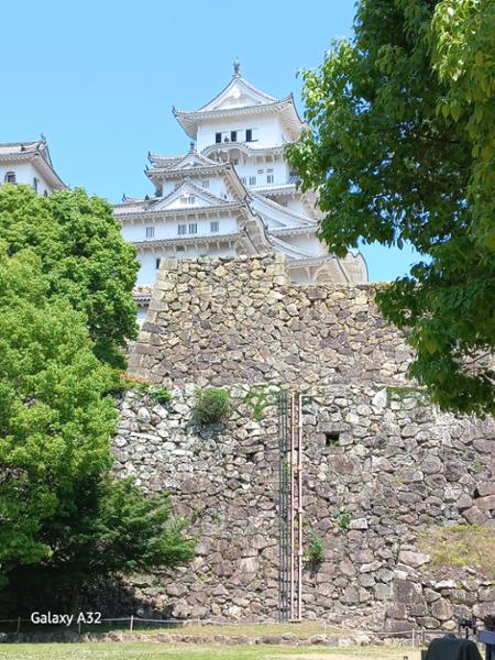 5545-Ultimate Japan