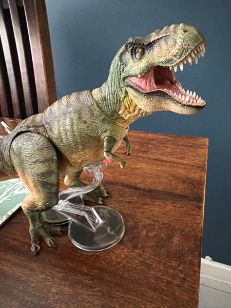 Incredible Dinosaurs with Perfect service