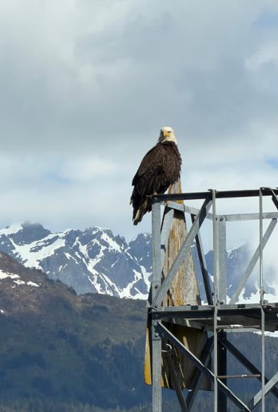 New Zealand Family Vacation