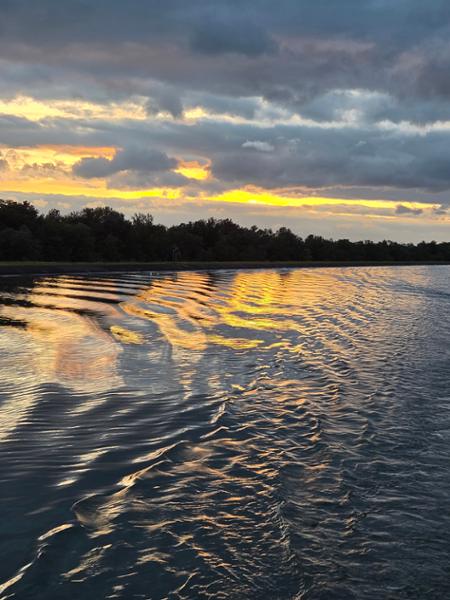 Remarkable Rhine & Historic Holland