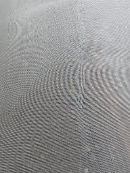 Poor quality of mesh