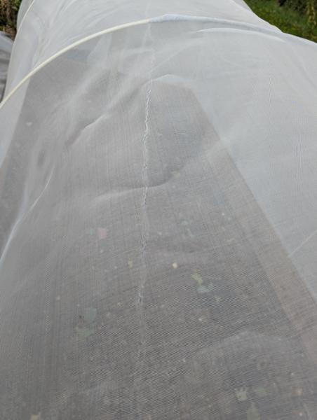 Poor quality of mesh