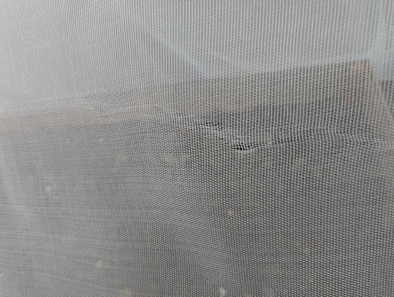 Poor quality of mesh