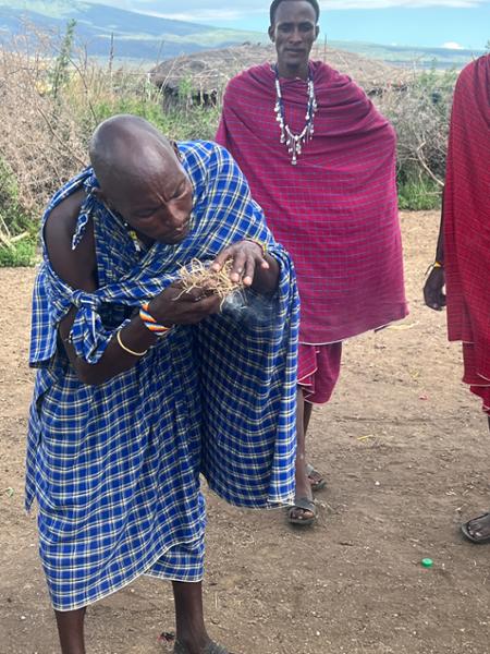 African travel at its best Tanzania and Cape Town South Africa