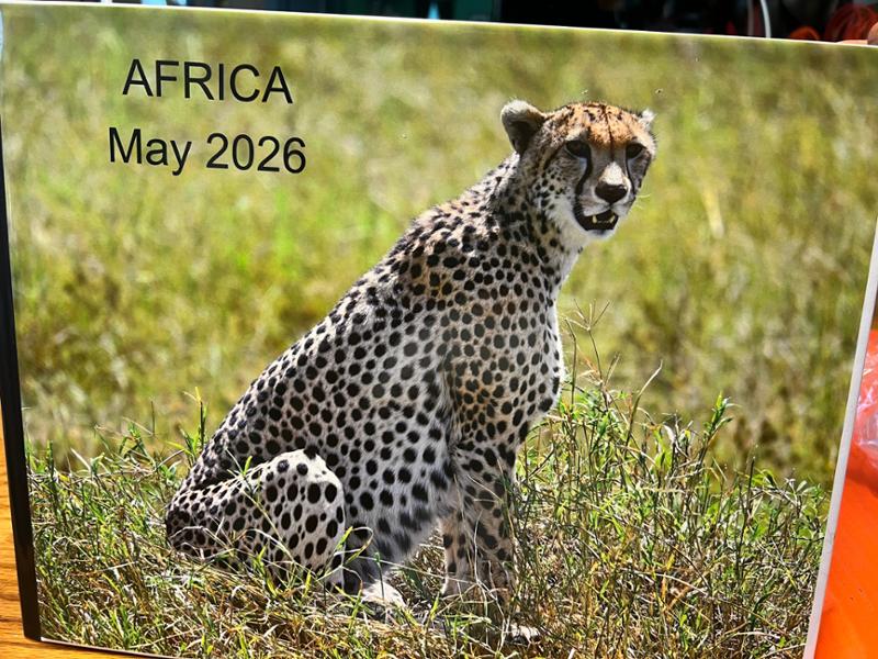 African travel at its best Tanzania and Cape Town South Africa