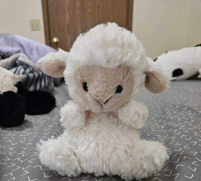 Jellycat Little Lamb