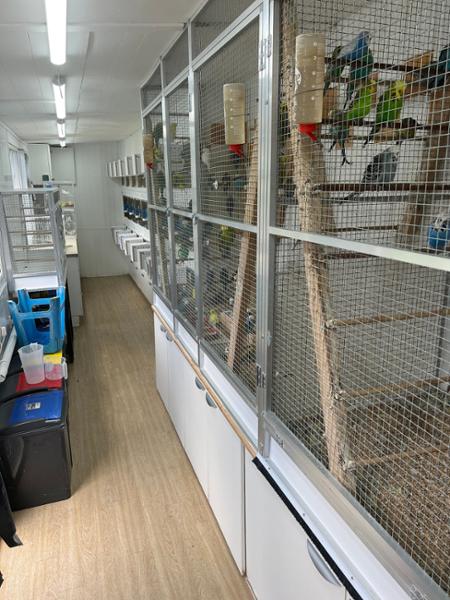 AVIGOLD ADVANCE: All-in-One Cage & Aviary Bird Tonic