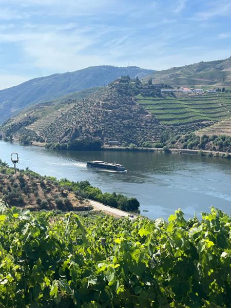 Fabulous Douro Cruise