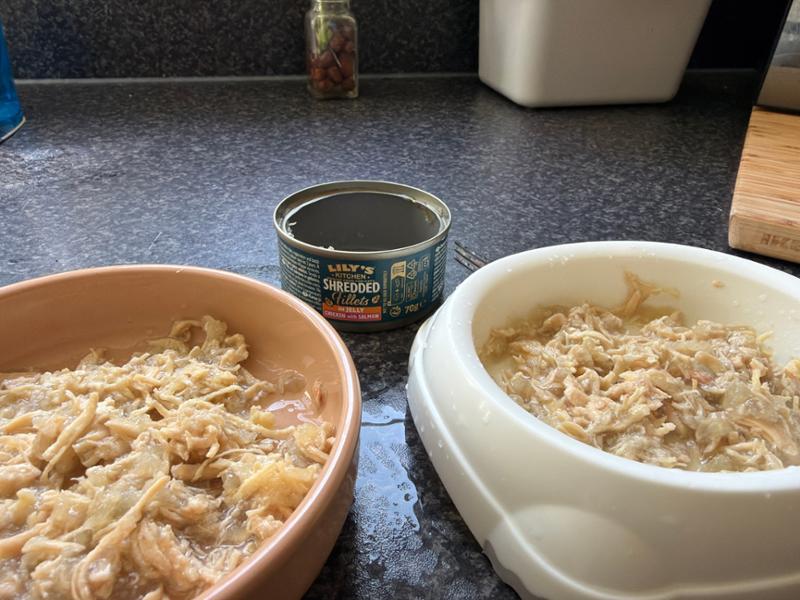 Lily's Kitchen Shredded Fillets in Jelly | Grain-Free Recipes | Wet Cat Food | Chicken & Salmon | 8 x 70g | Adult Cat Food Variety Pack