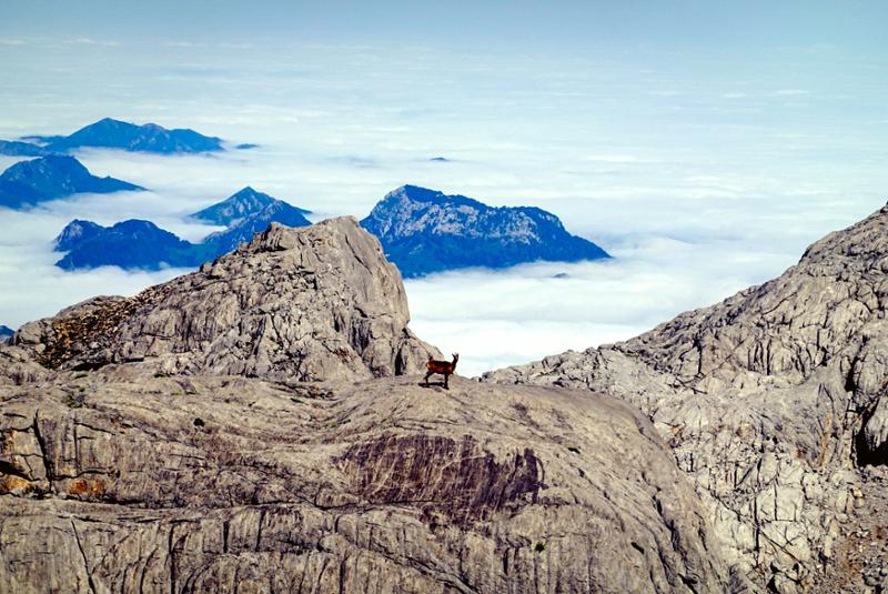 Excellent Picos of Europe experience.