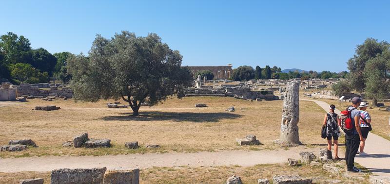 6065-South Italy, Malta & Greek Islands