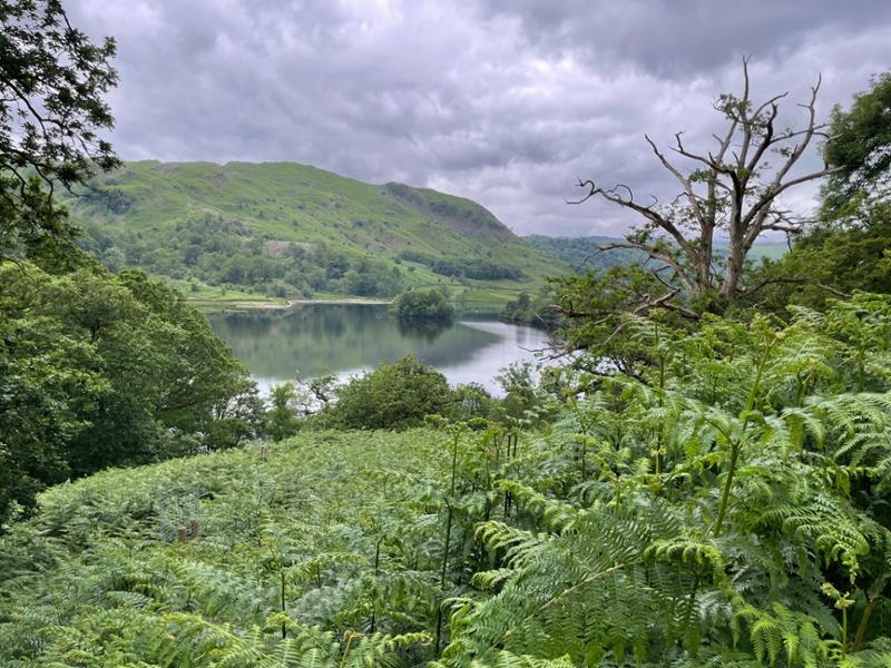 Your holiday: Southern Lake District  - Gentle Guided Walking