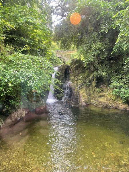 Your holiday: Southern Lake District  - Gentle Guided Walking