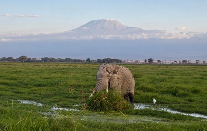 5755-African Great Migration