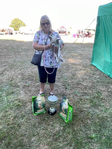 Cobbydog Dog Show Sponsorship