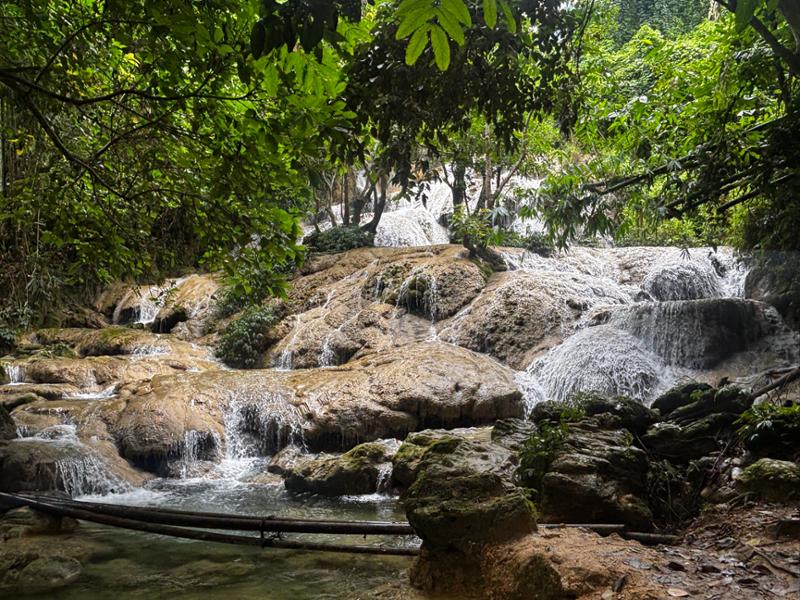 5863-Vietnam for 2