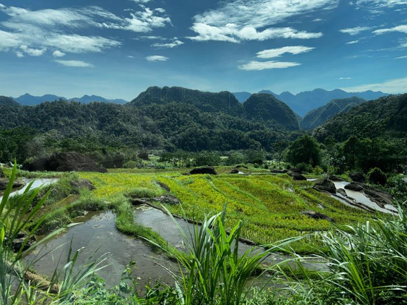 5863-Vietnam for 2