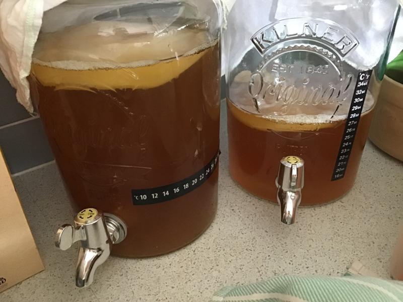 My kombucha