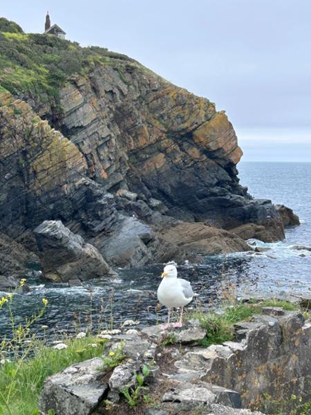 Your holiday: Cornwall  - Guided Walking