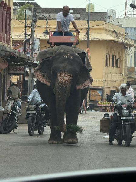 5896-Incredible India for 2