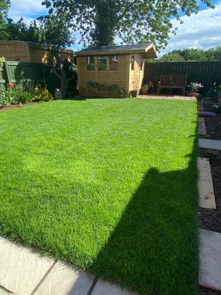New lawn