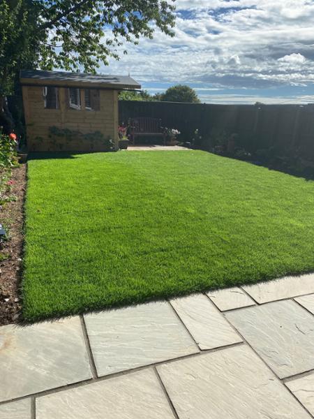 New lawn