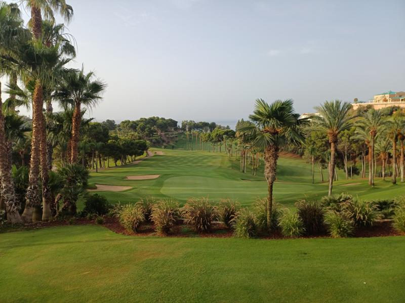 Great course in immaculate condition