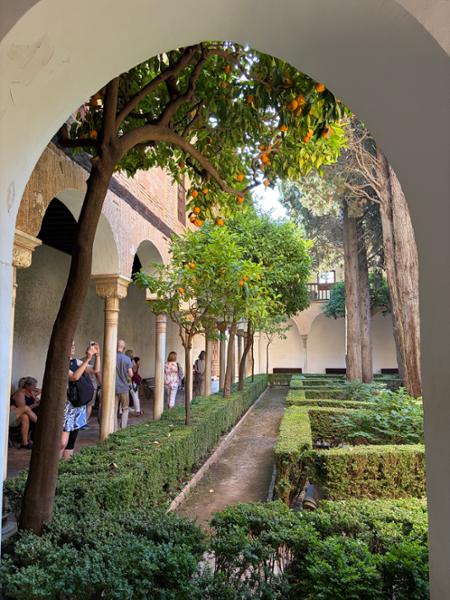 The title says it all!  Classical Spain is a must-do tour!