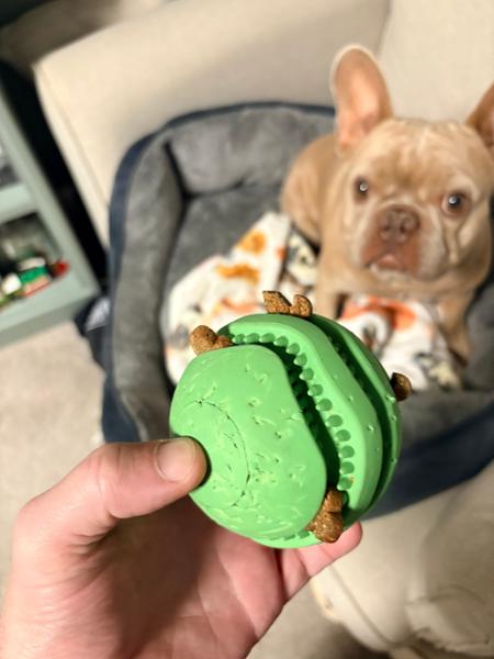 Dog Treat Ball | Fun Puzzle Toy For Bored Dogs | Made From 100% Rubber | Pooch & Mutt | Helps Clean Teeth