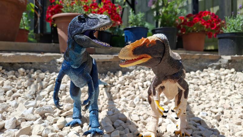 Dynamic Dino Duo