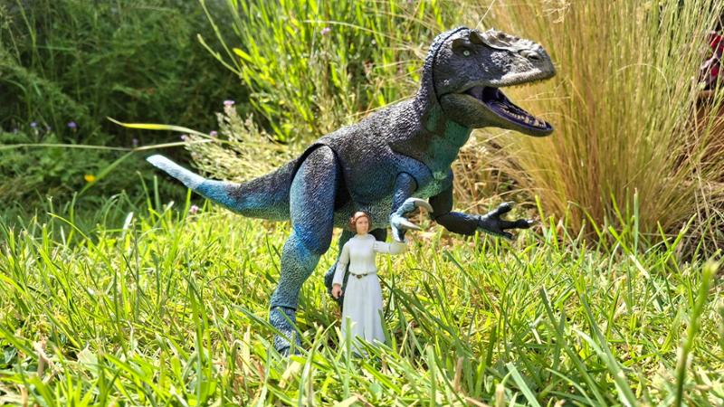 Dynamic Dino Duo