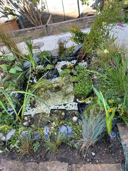 Great pond liner