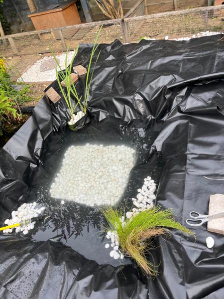 Great pond liner