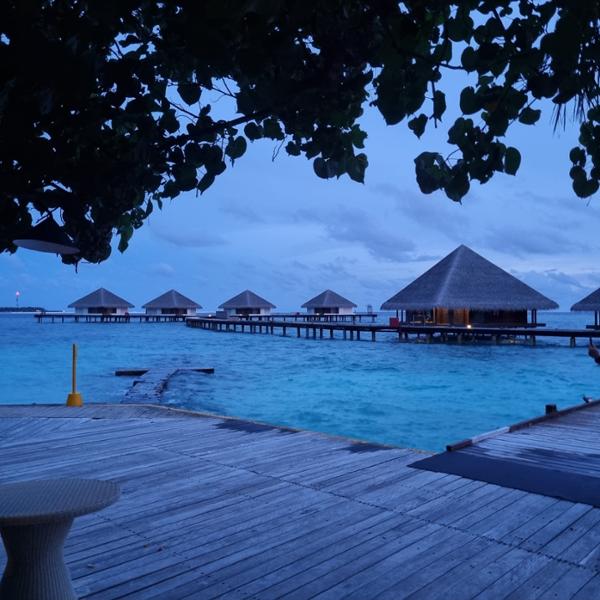 5738-Sri Lanka & All-Inclusive Maldives 2026